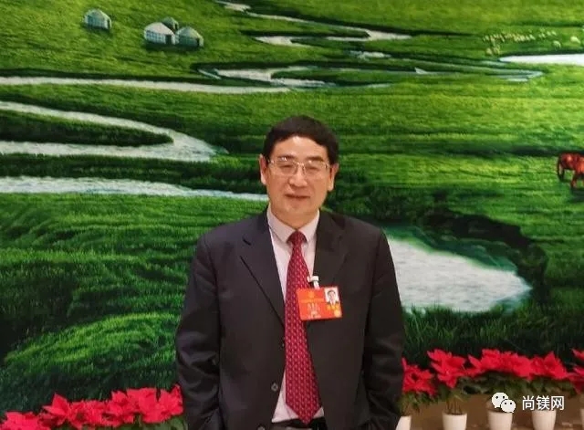 全国人大代表潘复生院士：加快镁电池和镁储氢等新一代储能材料与装备产业发展