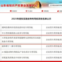山东开泰一项目入选2025年山东省专利导航项目