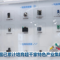 我国已累计培育超千家特色产业集群